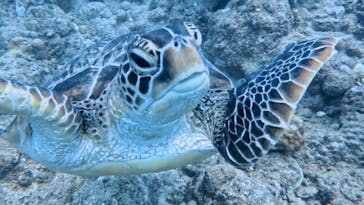 AQUA COLOR'S（アクアカラーズ）に投稿された画像（2024/10/5）