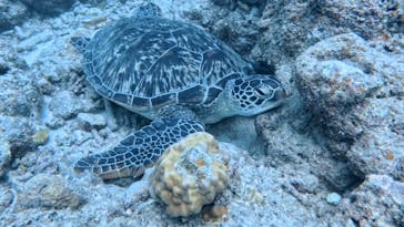 AQUA COLOR'S（アクアカラーズ）に投稿された画像（2024/10/5）