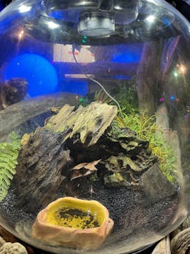 NARA IKIMONO MUSEUMに投稿された画像（2024/10/5）