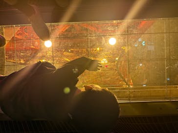 東京タワーに投稿された画像（2024/10/5）