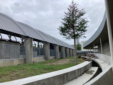 霞ケ浦 どうぶつとみんなのいえに投稿された画像（2024/10/5）