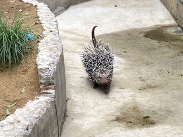 霞ケ浦 どうぶつとみんなのいえに投稿された画像（2024/10/5）