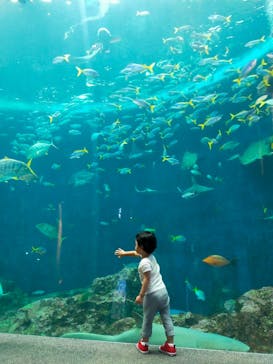 鴨川シーワールドに投稿された画像（2024/10/5）