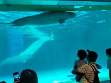 鴨川シーワールドに投稿された画像（2024/10/5）