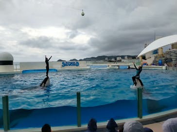 鴨川シーワールドに投稿された画像（2024/10/5）