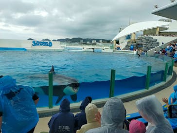 鴨川シーワールドに投稿された画像（2024/10/5）