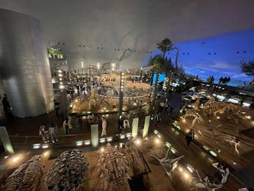 福井県立恐竜博物館に投稿された画像（2024/10/5）