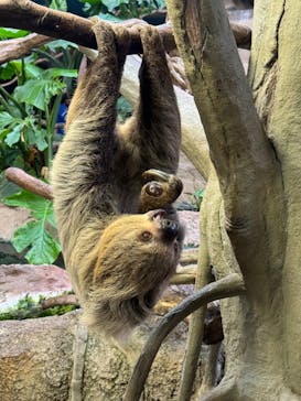 那須どうぶつ王国に投稿された画像（2024/10/5）