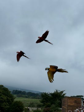 那須どうぶつ王国に投稿された画像（2024/10/5）