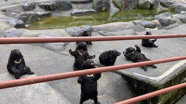 奥飛騨クマ牧場に投稿された画像（2024/10/5）