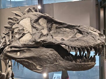 福井県立恐竜博物館に投稿された画像（2024/10/5）