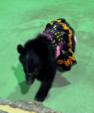 奥飛騨クマ牧場に投稿された画像（2024/10/5）