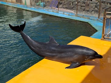 越前松島水族館に投稿された画像（2024/10/5）