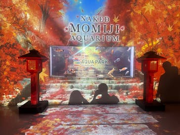 マクセル アクアパーク品川に投稿された画像（2024/10/5）