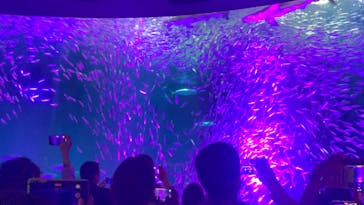 名古屋港水族館に投稿された画像（2024/10/5）