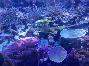 名古屋港水族館に投稿された画像（2024/10/5）