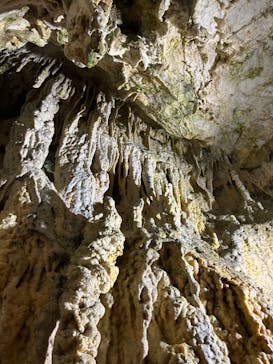 飛騨大鍾乳洞＆大橋コレクション館に投稿された画像（2024/10/5）