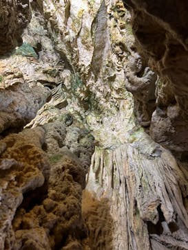 飛騨大鍾乳洞＆大橋コレクション館に投稿された画像（2024/10/5）