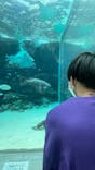 名古屋港水族館に投稿された画像（2024/10/6）