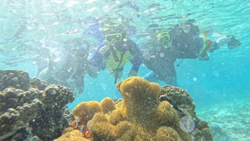 宮古島 ADVENTURE PiPi（ミヤコジマ アドベンチャー ピピ）に投稿された画像（2024/10/5）