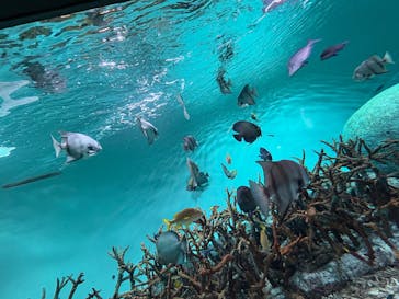 葛西臨海水族園に投稿された画像（2024/10/5）