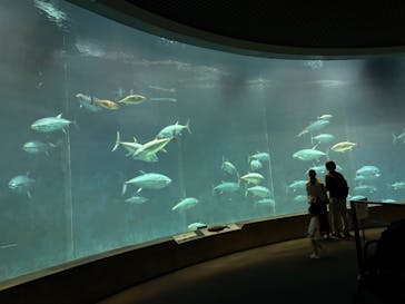 葛西臨海水族園に投稿された画像（2024/10/5）