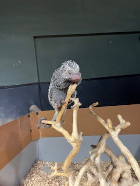 カワスイ 川崎⽔族館に投稿された画像（2024/10/5）