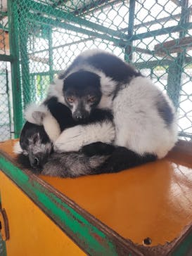 岩手サファリパークに投稿された画像（2024/10/5）