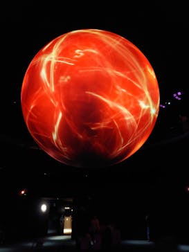 NIFREL（ニフレル）に投稿された画像（2024/10/5）