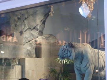 NIFREL（ニフレル）に投稿された画像（2024/10/5）