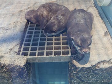 NIFREL（ニフレル）に投稿された画像（2024/10/5）