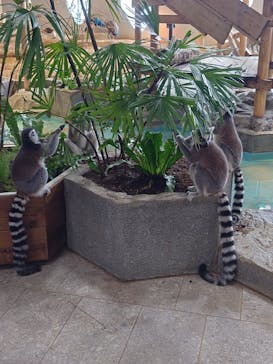 NIFREL（ニフレル）に投稿された画像（2024/10/5）