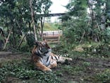 日立市かみね動物園に投稿された画像（2024/10/6）
