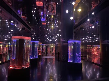 マクセル アクアパーク品川に投稿された画像（2024/10/6）