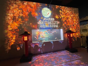 マクセル アクアパーク品川に投稿された画像（2024/10/6）