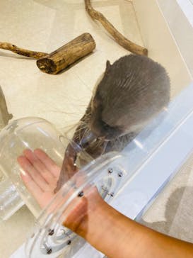 アニタッチPARKイオンモール太田に投稿された画像（2024/10/6）