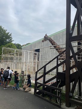 九十九島動植物園森きららに投稿された画像（2024/10/6）