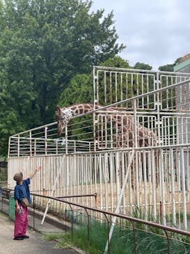 九十九島動植物園森きららに投稿された画像（2024/10/6）