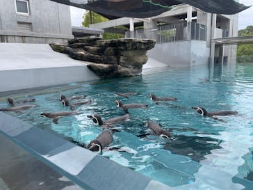 九十九島動植物園森きららに投稿された画像（2024/10/6）