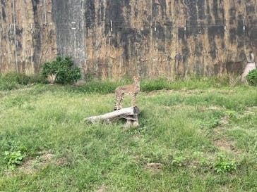 九十九島動植物園森きららに投稿された画像（2024/10/6）