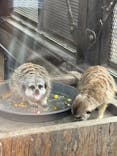 宇都宮動物園に投稿された画像（2024/10/6）