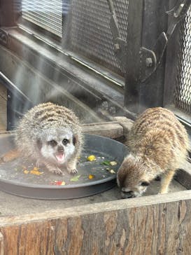 宇都宮動物園に投稿された画像（2024/10/6）