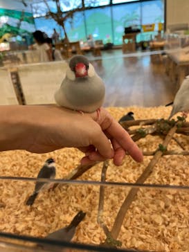 いきもの探検隊湘南に投稿された画像（2024/10/6）