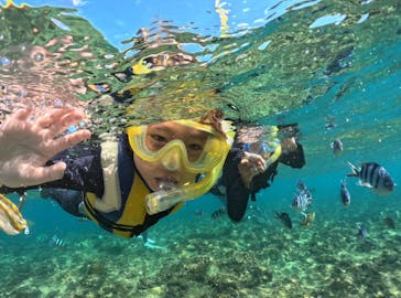 武藤潜水に投稿された画像（2024/10/6）