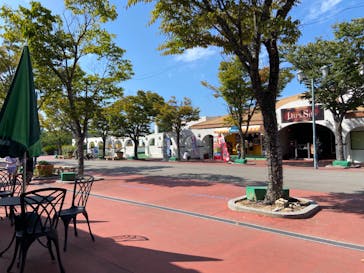 レオマリゾートに投稿された画像（2024/10/6）