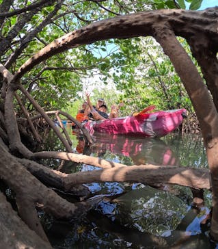 西表島 ADVENTURE PiPi（アドベンチャーピピ）に投稿された画像（2024/10/6）