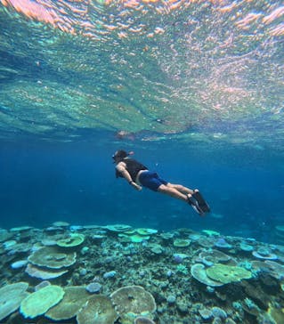 西表島 ADVENTURE PiPi（アドベンチャーピピ）に投稿された画像（2024/10/6）