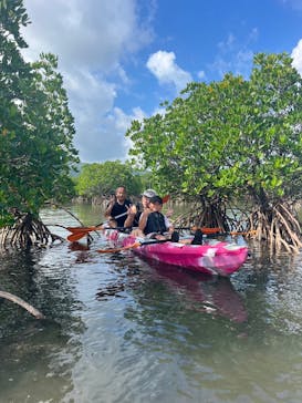 西表島 ADVENTURE PiPi（アドベンチャーピピ）に投稿された画像（2024/10/6）