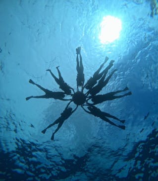 西表島 ADVENTURE PiPi（アドベンチャーピピ）に投稿された画像（2024/10/6）