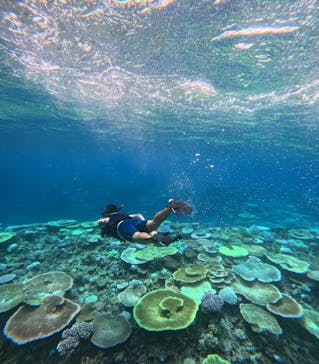 西表島 ADVENTURE PiPi（アドベンチャーピピ）に投稿された画像（2024/10/6）